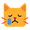 crying_cat_face